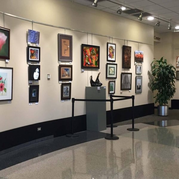 Gail Borden Library Winter Show